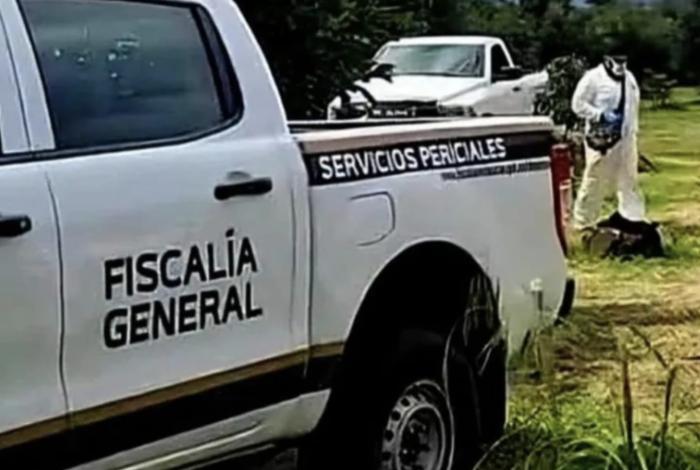 Cortaba tamarindo y mur10 por descarga eléctrica