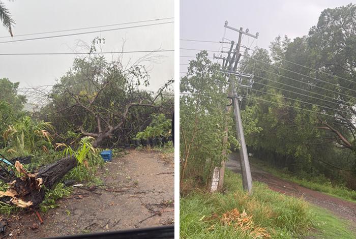 Crónica | Tormenta en Buenavista: un día entre postes caídos y árboles vencidos