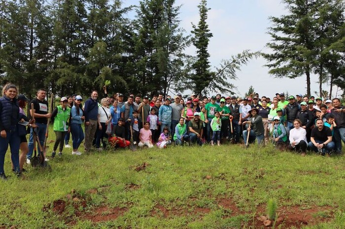 Cumple PVEM Michoacán con primera etapa de la reforestación