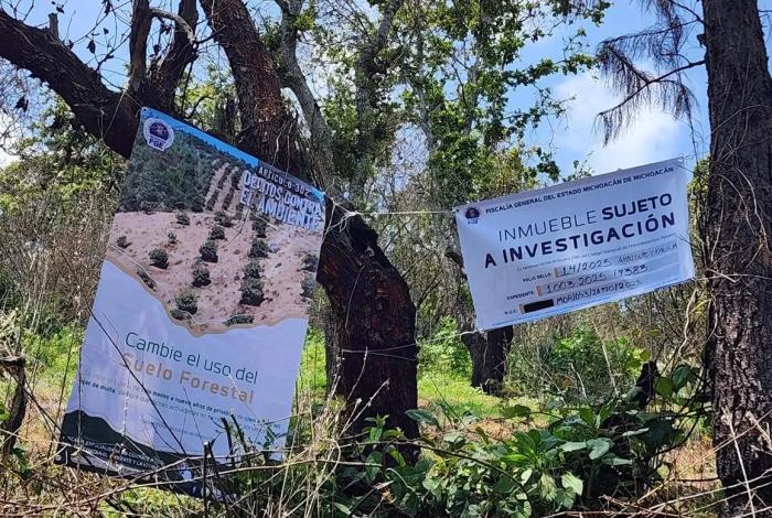 Cumplimenta FGE orden de cateo en predio relacionado con delitos contra el ambiente