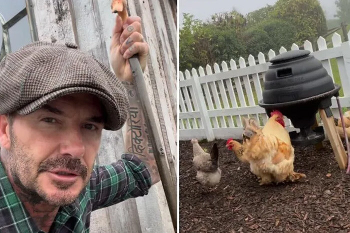 David Beckham mostró cómo es un día en su granja y su mujer Victoria le hizo un reclamo