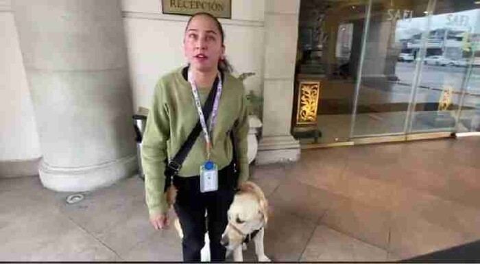 Denuncian discriminación en Hotel Safi contra mujer con discapacidad visual y su perro guía