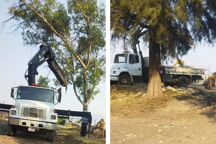 Denuncian tala de árboles en Arboretum, Morelia, por Tres Puentes, y no es personal del Ayuntamiento