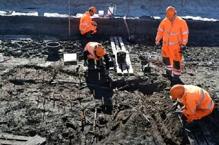 Descubrimiento en Dinamarca desafía todo lo que creíamos saber sobre la prehistoria