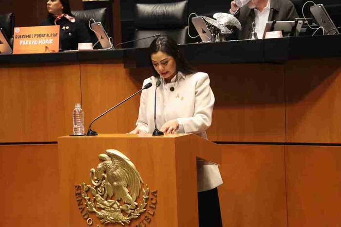 Desde el Senado se garantiza atención a mujeres y fortalecer la administración pública federal: Araceli Saucedo