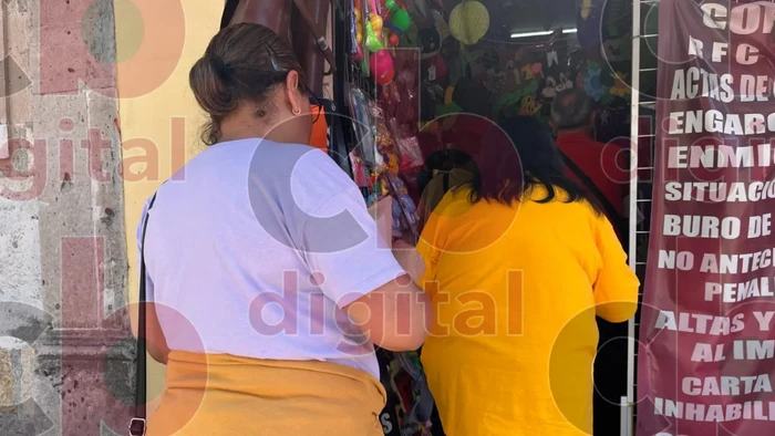 Desigualdad económica en Michoacán, solo 44% de mujeres tienen Ingreso