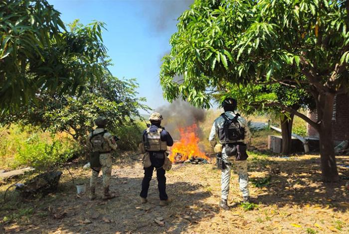 Desmantelan en Buenavista 4 campamentos del crimen organizado, informa la SSP