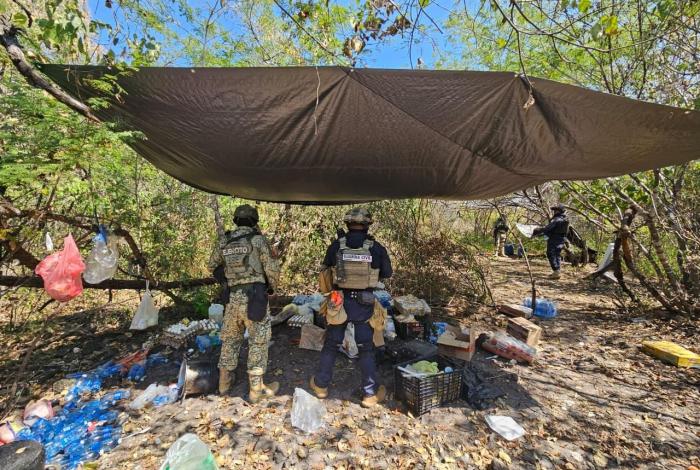Destruyen cuatro campamentos operados por el crim3n en Buenavista