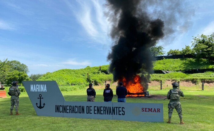 Destruyen más de media tonelada de cocaína