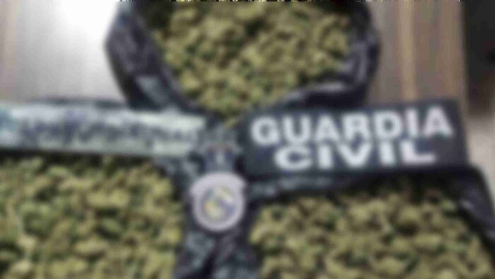 Detenido un hombre con más de 3 kg de mariguana en Morelia: SSP