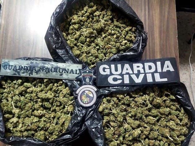 Detenido un hombre con más de 3 kg de mariguana en Morelia: SSP