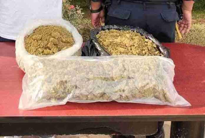 Detiene SSP un hombre en posesión de aproximadamente 4 kilos de mariguana