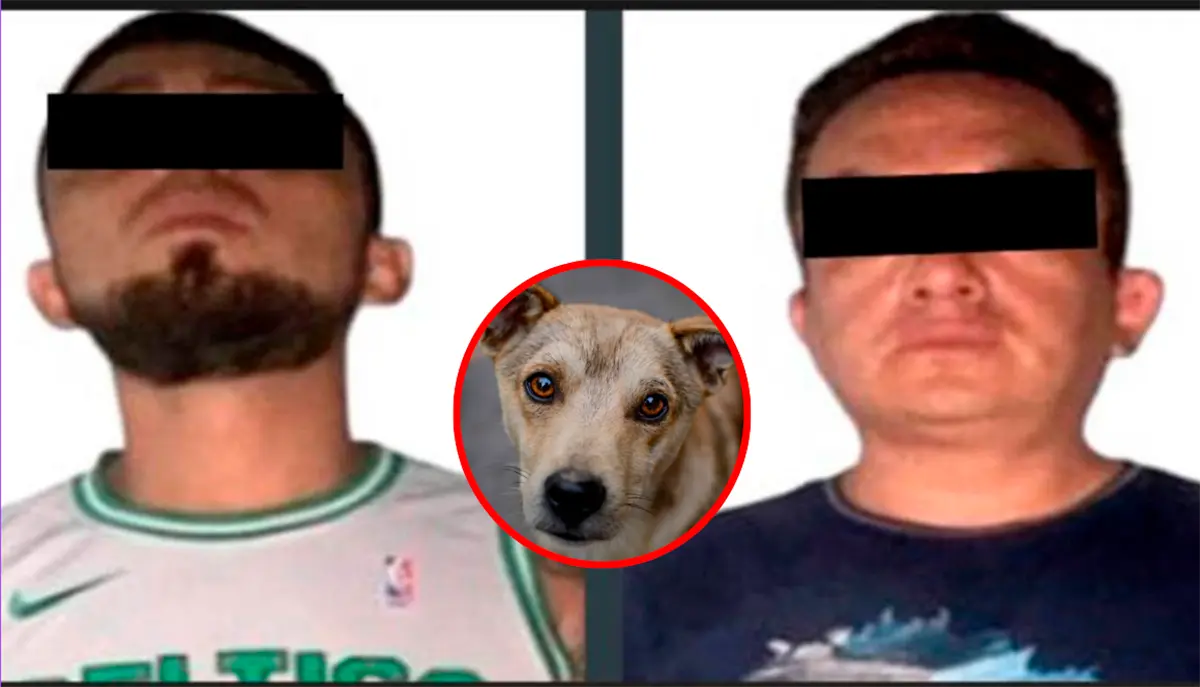 Detienen a dos hombres con restos caninos en bolsas negras
