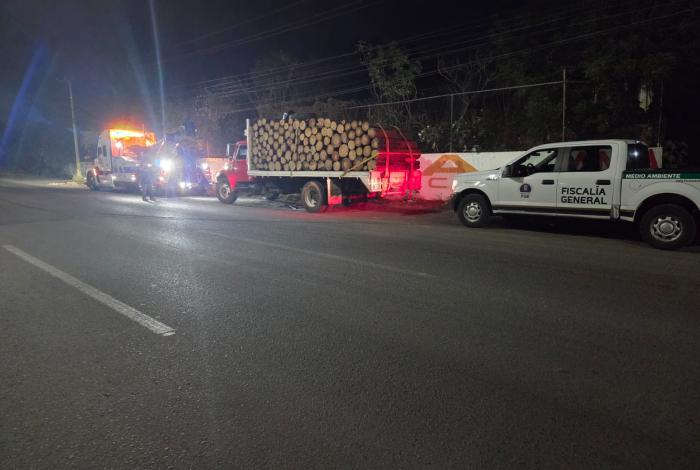 Detienen a dos por delitos contra el medio ambiente, en Morelia
