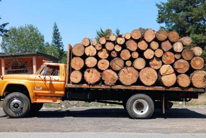 Detienen a un hombre por transportar madera il3gal en Zinapécuaro