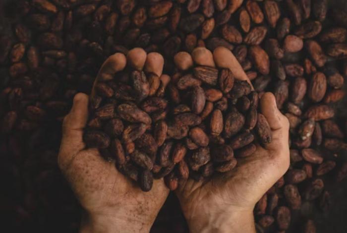 Día Mundial del Cacao y del Chocolate