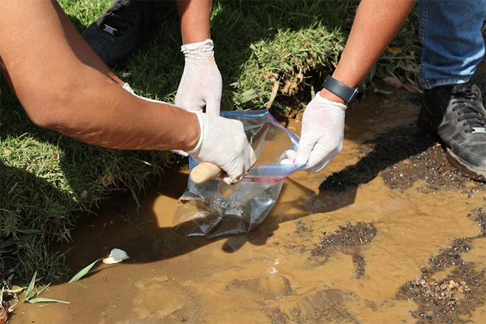 Dicen en el Zoo de Morelia que agua y lodo vertidos tras desfogue del OOAPAS tendrían hierro y azufre