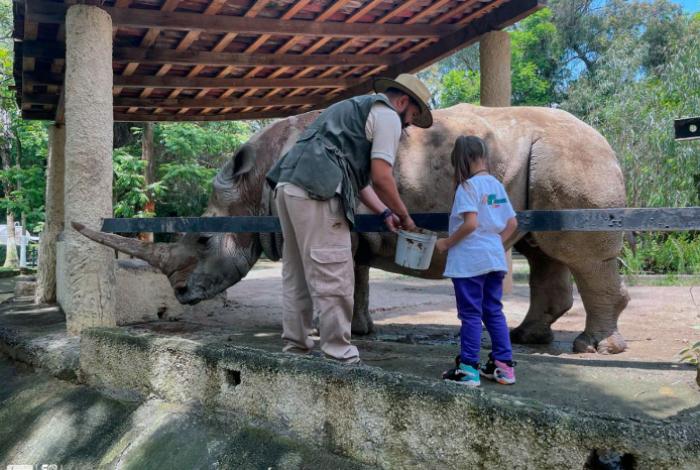 Disfruta un verano de aventura en el Zoológico de Morelia