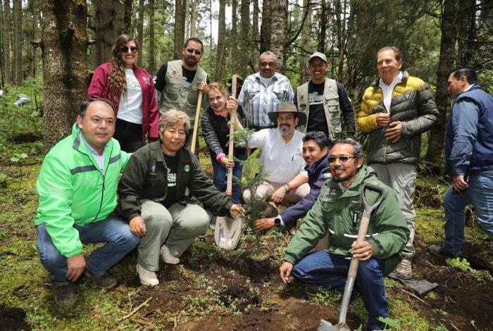 “Ejército verde” llega a 10 municipios de Michoacán con reforestación simultánea