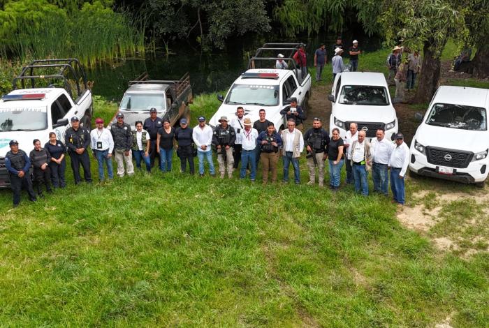 Ejido San Rafael Tecario retira plantación ilegal de aguacate