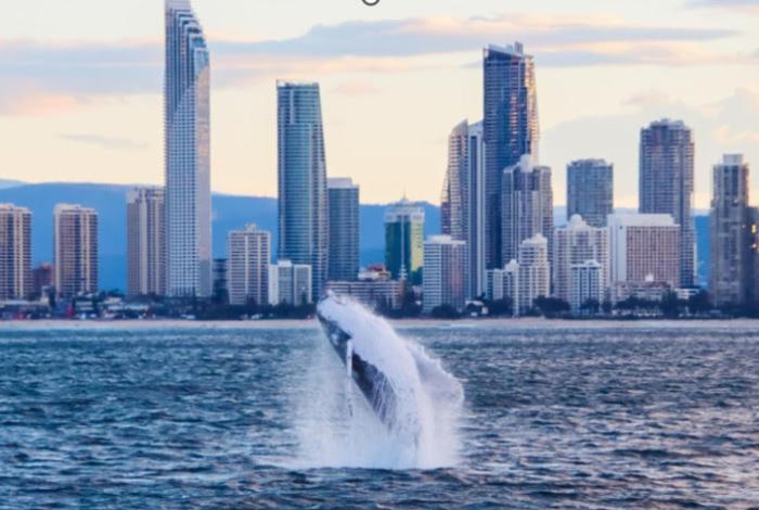 El colapso del océano pondría en riesgo 7.7 billones de euros de economía mundial en 10 años