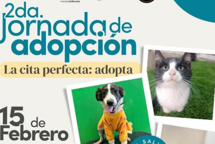 El Impa invita a la 2ª Jornada de Adopción, este fin de semana