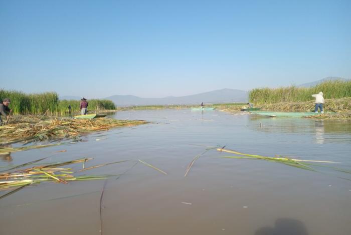 El lago de Pátzcuaro recobra vida; en 2026 se han descubierto 18 manantiales