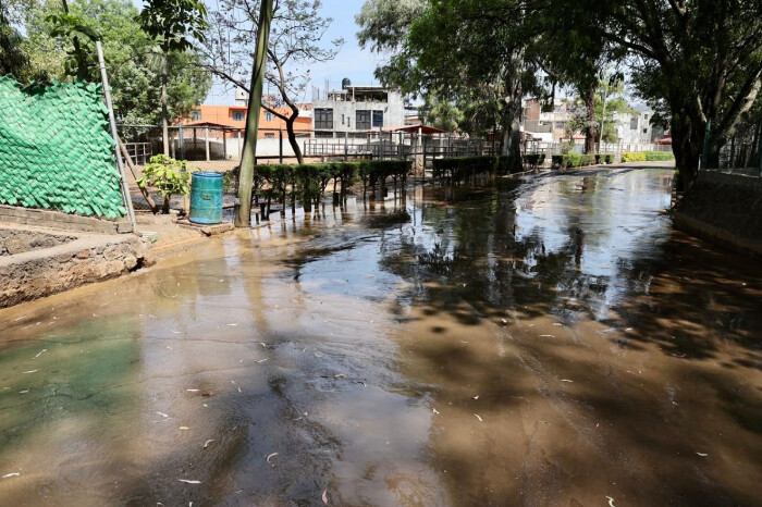 El OOAPAS no tiene responsabilidad en la inundación del Zoológico: director del organismo