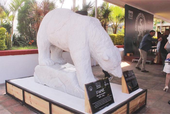 El Zoo de Morelia cumple 55 años con homenaje a la osa polar Yupik; contemplan nuevo nombre para el recinto
