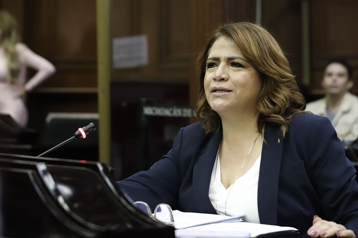 Elección judicial, un proceso histórico y abierto: Fabiola Alanís