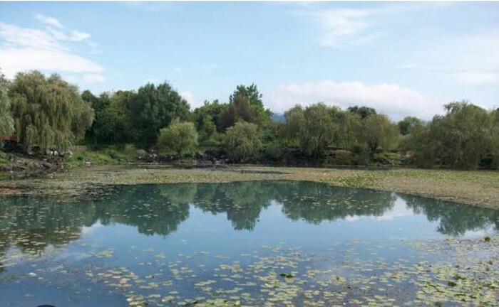 Empresa saquea manantiales de San Miguel del Monte: habitantes