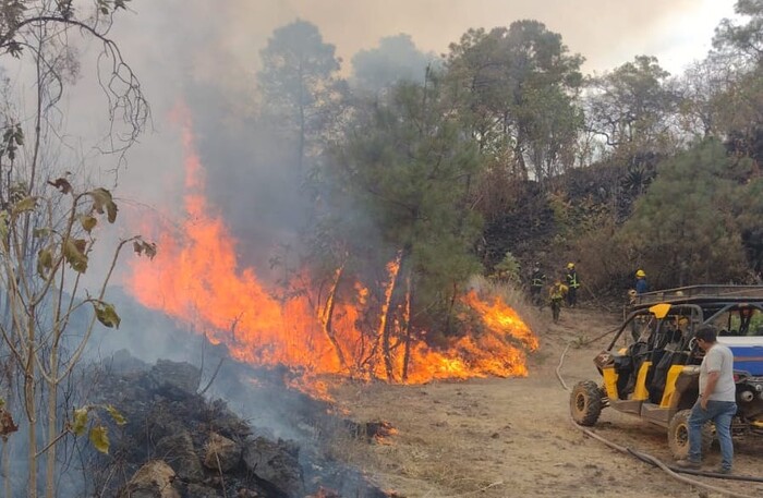 En 2024, 629 incendios forestales devoran 27 mil hectáreas en Michoacán