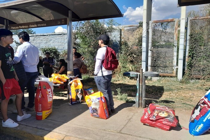 En 24 horas se agotan los boletos para Chayanne en el Estadio Morelos; ya solo hay en hoteles y restaurantes