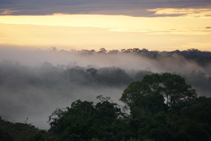 En amazonas empieza a surgir un nuevo clima “hipertropical”