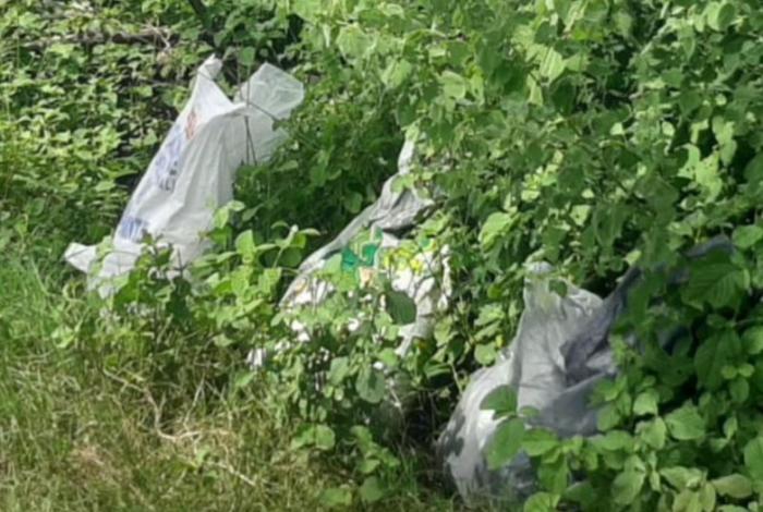 En Apatzingán, asegurados 55 kilogramos de material explosivo: SSP