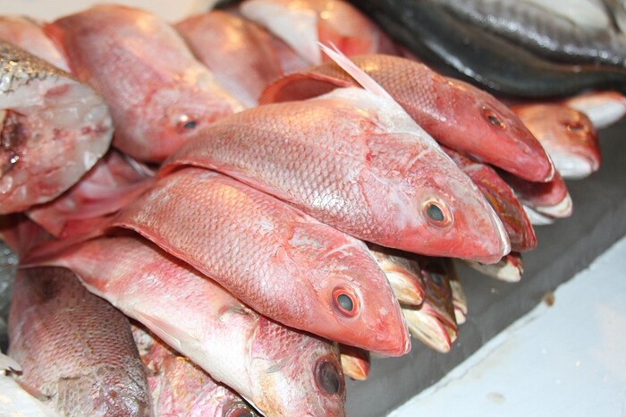 En Cuaresma, evita riesgos al consumir pescados y mariscos: SSM