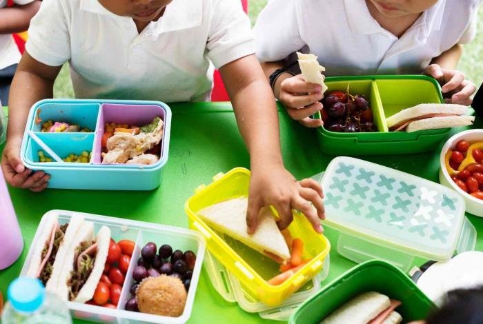 En este regreso a clases prioriza los alimentos frescos y naturales: SSM