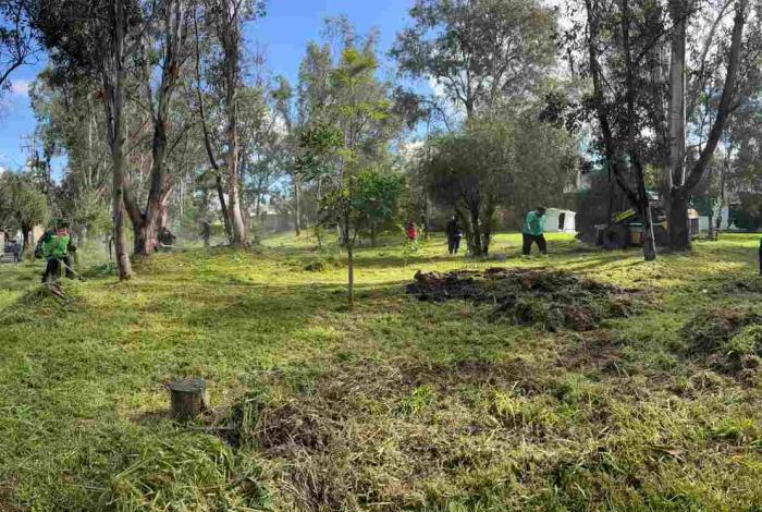 En Fuentes de Morelia y Juana Pavón, realiza Secretaría de Servicios Públicos jornada de limpieza