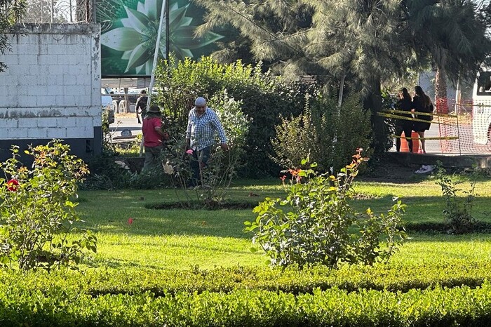 En la FGE rompen árboles y eliminarán jardín para construir estacionamiento