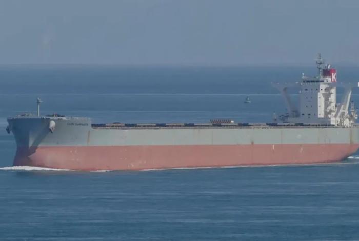 En Lázaro Cárdenas investigan buque que navega con bandera de Panamá y al parecer con documentos falsos