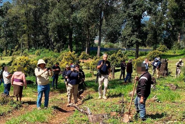 En Los Reyes, desmantela FGE huerta de aguacate