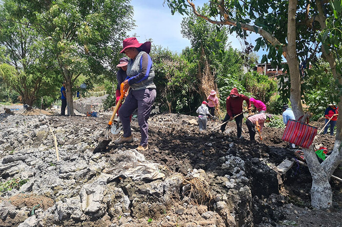 En marzo se reactiva empleo temporal para preservación del lago de Pátzcuaro: Bedolla