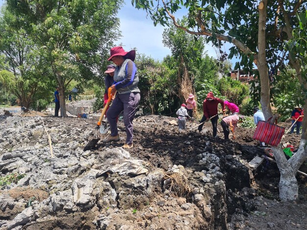 En marzo se reactiva empleo temporal para preservación del lago de Pátzcuaro: Bedolla