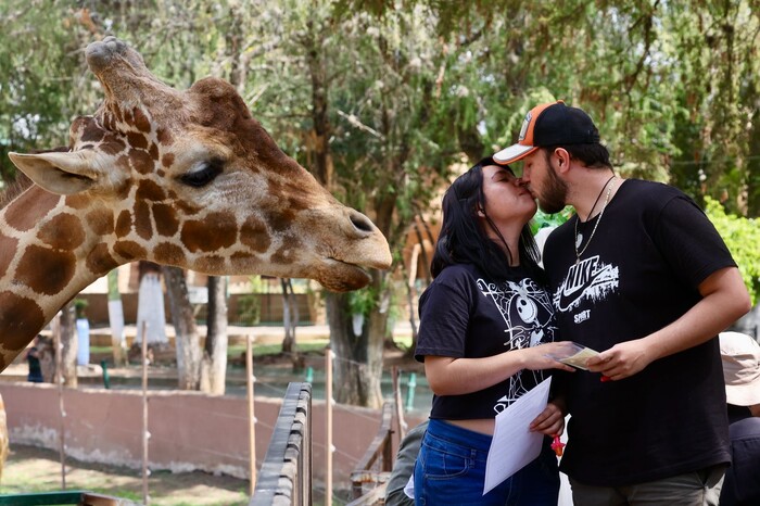 En Michoacán, alrededor de 18 mil matrimonios civiles por año