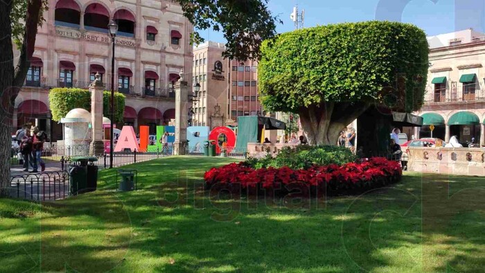 En Morelia se plantearán 15 mil Nochebuenas para temporada decembrina