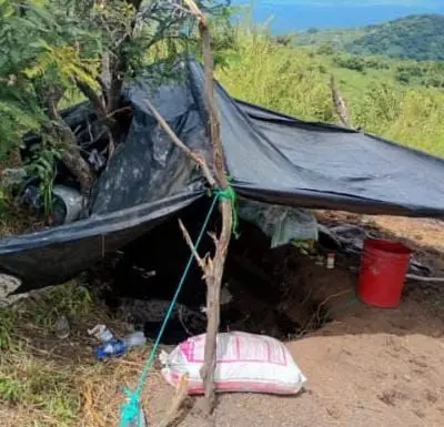 *En Parácuaro, fuerzas estatales y federales destruyen dos campamentos ilícitos*