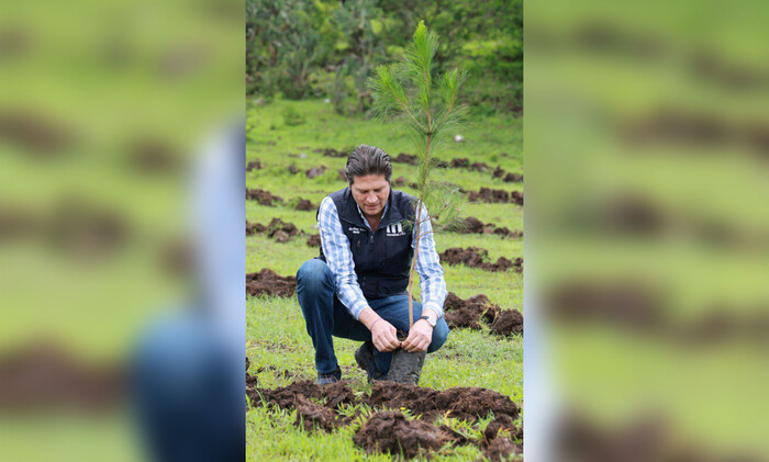 Encabeza Alfonso Martínez jornada de reforestación