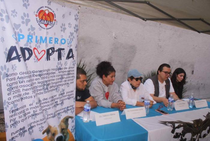 Encienden esperanza: GHAPAD convoca apoyo para alimentar 2 mil 500 peludos en esta Navidad y Año Nuevo