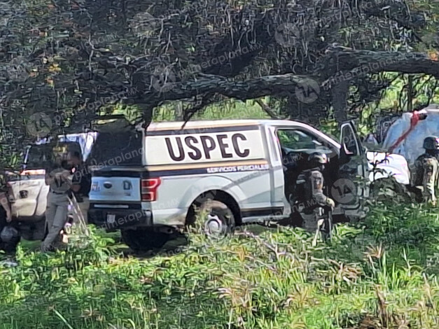 Encuentran cuerpo en una huerta de aguacate, en Tancítaro