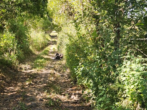 Encuentran el cuerpo calcinado de un hombre en Jacona